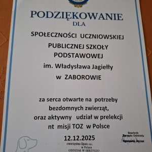 Dyplom podziękowania. Kliknięcie w zdjęcie spowoduje powiększenie do oryginalnego rozmiaru.