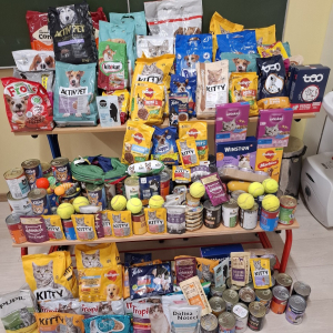 Zebrana karma dla zwierząt. Kliknięcie w zdjęcie spowoduje powiększenie do oryginalnego rozmiaru.